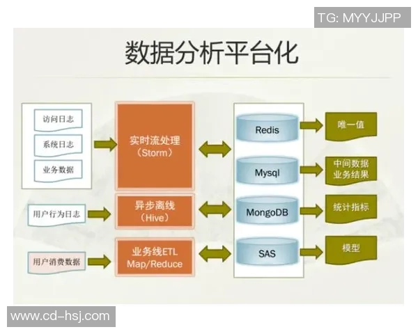 深圳攀岩队速度表现数据分析探究与提升策略研究